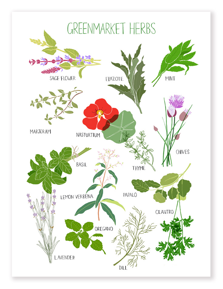 Greenmarket Herbs
