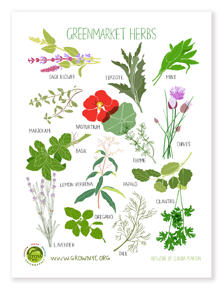 Grennmarket Herbs Poster